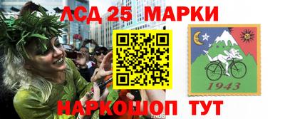 крисы Краснодар