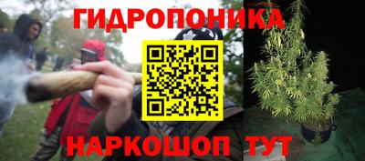 крисы Краснодар