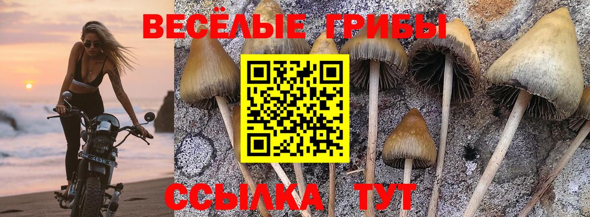 Городец  Псилоцибиновые грибы ЛСД  Вход с VPN  Псилоцибиновые грибы MAGIC MUSHROOMS 